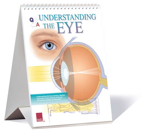 The Eye Scientific Publishing