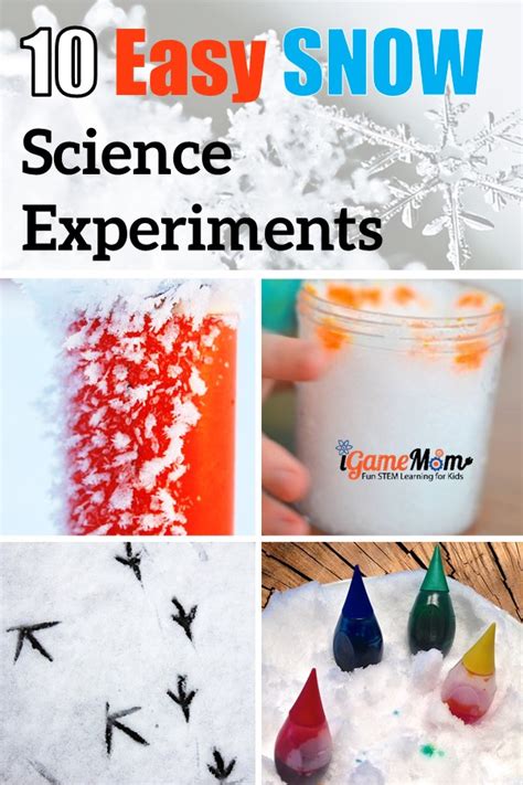 10 Easy Snow Science Experiments For Kids