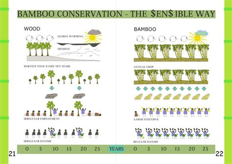 The Vitality Of Bamboo Bambubuild