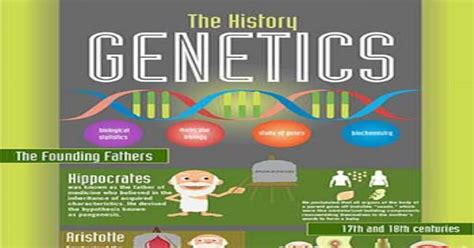 The History Of Genetics Infographic Infographics
