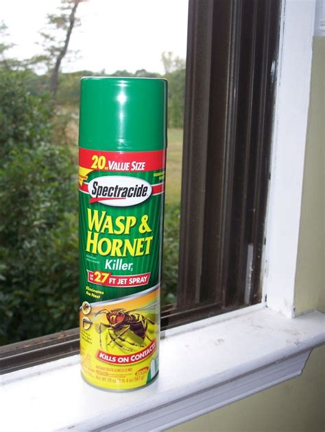 Wasp Spray Best Self Defense For Anyone Better Than Pepper Spray You