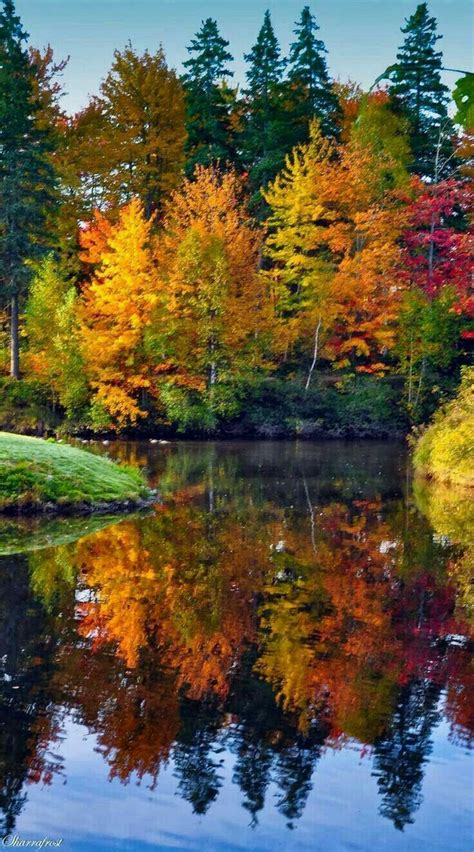 Stunning Fall Scenery ️🍁 Autumn Scenery Autumn Scenes Scenery