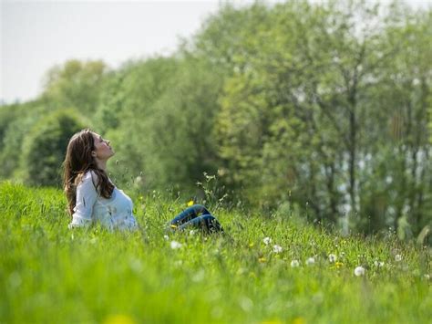New Research Reveals Natures Beauty Increases Happiness Sussex