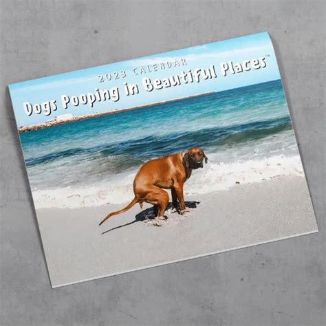 Buy 2023 Wall Dog Poop Funny Dogs Pooping In Beautiful Places Wall