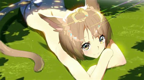 Cute Anime Cat Girls Youtube