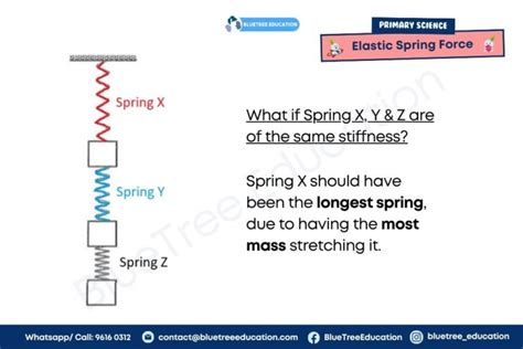 Psle Science Elastic Spring Force Graph Bluetree Education Group