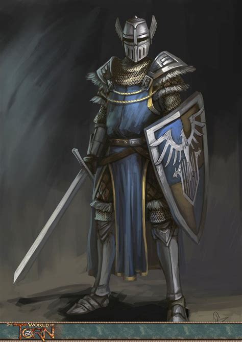 The Knights Of The Bragar Barony By Yanzi 5 On Deviantart Art