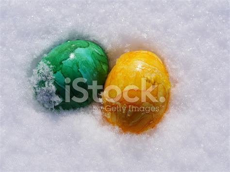Easter Eggs In Snow Stock Photo Royalty Free Freeimages