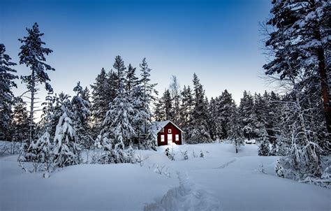 Wallpaper Winter Forest Snow Trees House Sweden Sweden