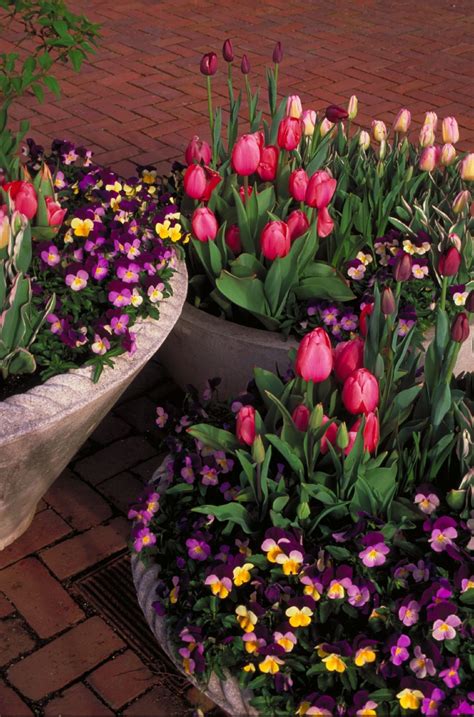 57 Gorgeous Spring Planter Ideas That Can Be A Favorite