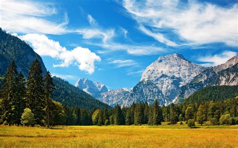 Switzerland Mountains Forests Grasslands Sky Scenery Alpy Nature 412128