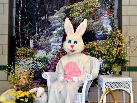 Heres When How To See The Easter Bunny At The Cherry Hill Mall