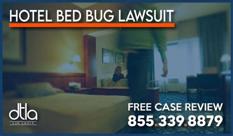 Steps To Take If Bitten By Bed Bugs In A Hotel Downtown La Law Group