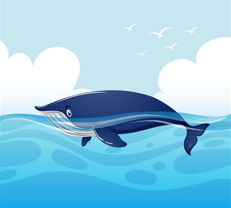 Blue Whale Swimming In Ocean 369030 Vector Art At Vecteezy