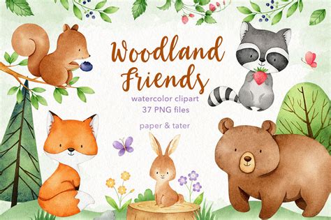 Watercolor Woodland Animals Clipart Graphics By PaperAndTater