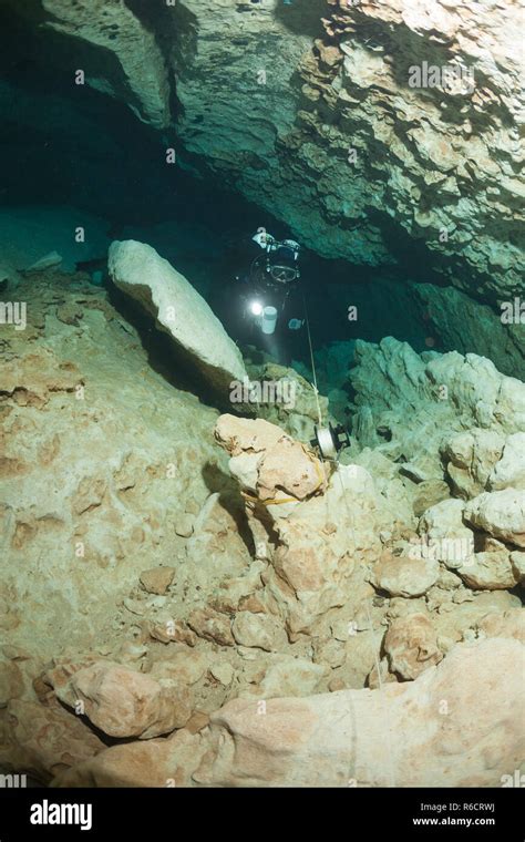 Divers Underwater Caves Diving Florida Jackson Blue Cave Usa Stock