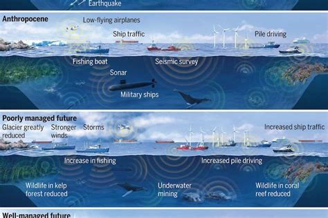For Marine Life Human Noise Pollution Brings Death By A Thousand Cuts