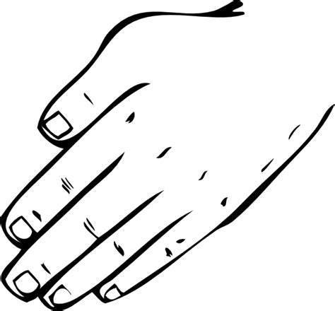 Hand Clipart Human Hand Hand Human Hand Transparent Free For Download