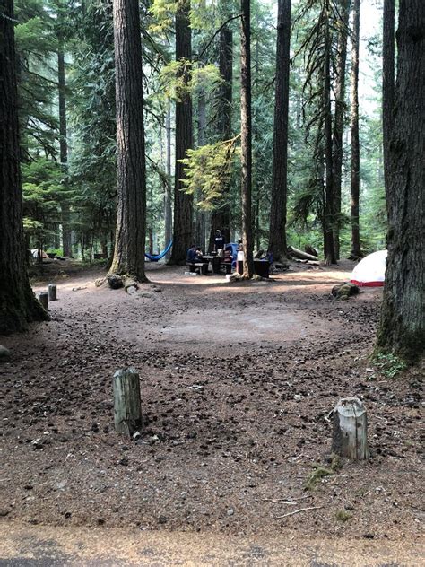 Ohanapecosh Campground 18 Photos And 14 Reviews Parks Mt Rainier