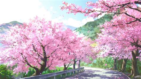 15 Wallpaper Anime Sakura Flower Orochi Wallpaper Images