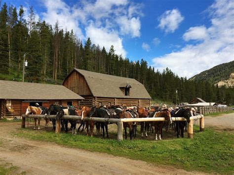 The 16 Best Dude Ranches In Montana Discovering Montana