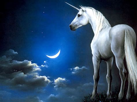 Every day new 3d models from all over the world. Koleksi Berbagai Gambar Unicorn