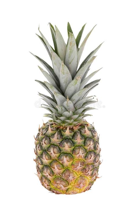 Single Whole Pineapple Isolated On White Background Exotic Fruit Stock