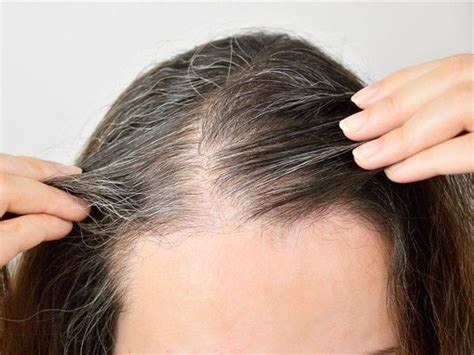 premature hair greying know the causes to prevent it and keep your hair healthier gohash