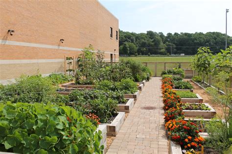 Schools The Organic Gardener