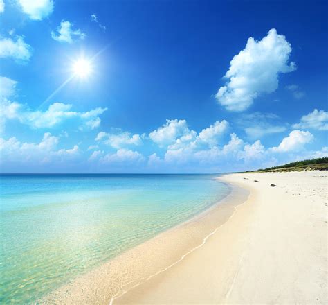 Sunny Beach Tropical Ocean By Konradlew