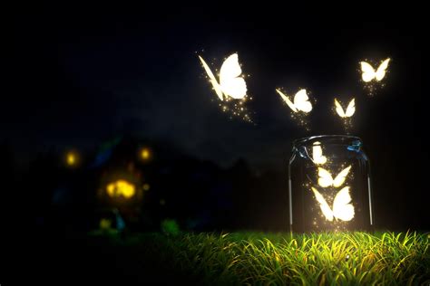Night Butterfly Wallpapers Top Free Night Butterfly Backgrounds