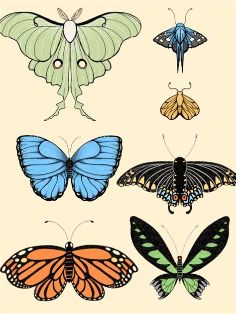 Butterfly Cottagecore Illustration In 2022 Illustration Butterfly