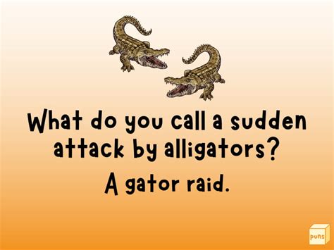 45 Hilarious Alligator Jokes Box Of Puns