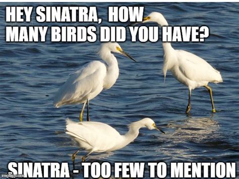 Egrets I Ve Had A Few Imgflip