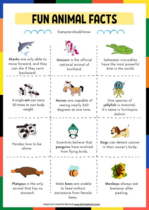 Fun Facts About Animals For Kids With Free Animal Facts Printable