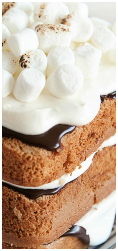 Smores Cake For Birthdays Recipe Smores Cake Yummy Cakes Cupcake