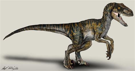 Jurassic World Velociraptor Echo By Nikorex On Deviantart Jurassic World Jurassic World