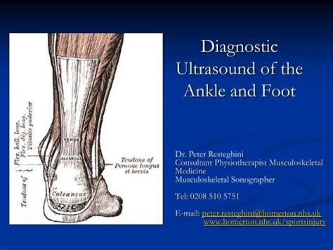 Diagnostic Ultrasound Of The Ankle And Foot