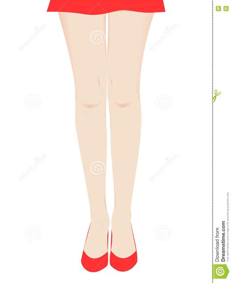 Beautiful Female Legs Stock Vector Illustration Of Pair 77468091