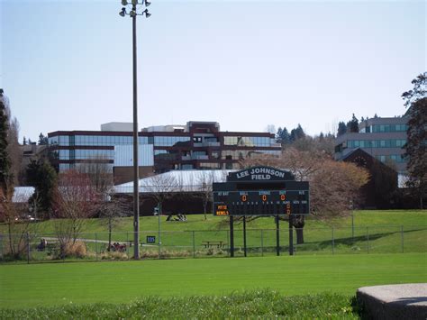 Lee Johnson Baseball Fields | Baseball field, Field, Baseball