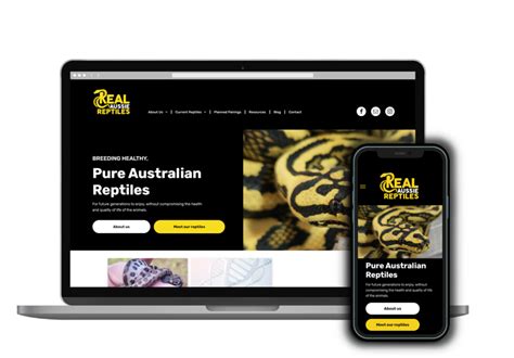 Real Aussie Reptiles Logo And Branding Design Rogue Print And Mail