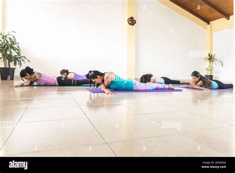 Women Practicing Yoga And Relaxation Lying Face Down In Studio Stock