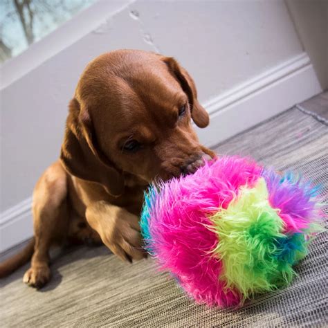 Godog Furballz Chew Guard Squeaky Plush Dog Toy Large