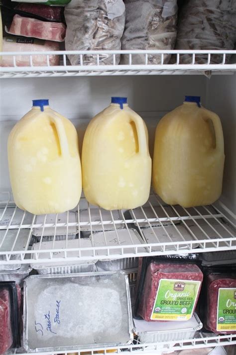 Simple Way To Freeze Milk 3 Options