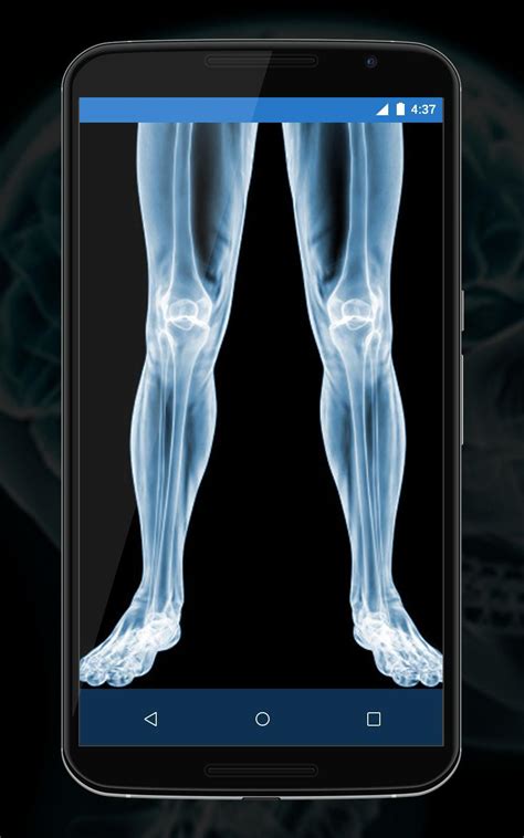 Download xray photo filters apk for android. Xray Camera Scanner for Android - APK Download