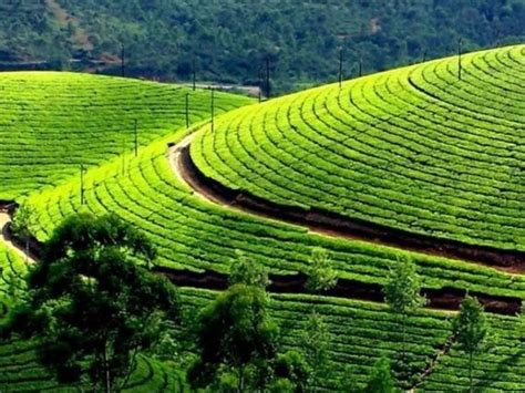 Planning A Trip To Ooty From Best Time To Visit To Must See