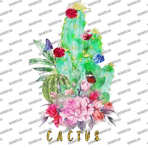 Cactus Sublimation Designs Downloads Watercolor Cactus Etsy