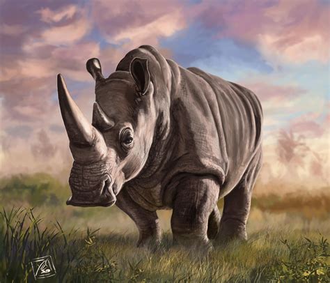 Rhinoceros Digital Art Animal Study By Officermeowmeow On Deviantart