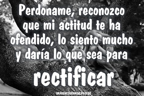 Palabras Para Pedir Perdón A Mi Novia Mentalidad Humana