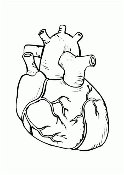 ⭐ free printable heart coloring book. Real Heart Coloring Pages - Coloring Home